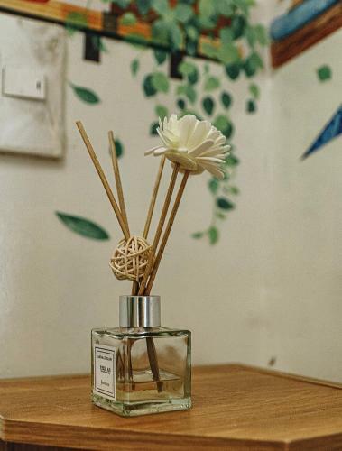 Apartamento C?n H? Meo Home ?� L?t