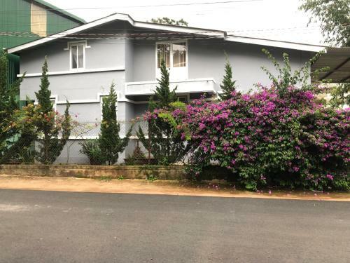 Hostal B?p House