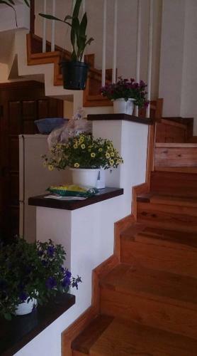 Homestay Bao Chau