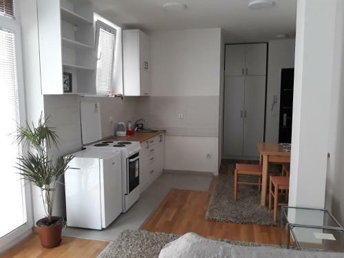 City Center Apartment Oly