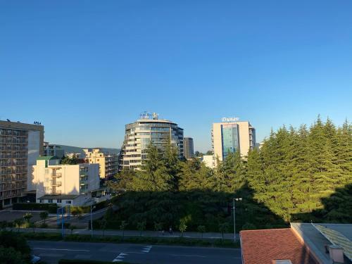 One Bedroom Apartment In Avalon