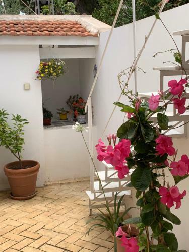 La Casita Bianca