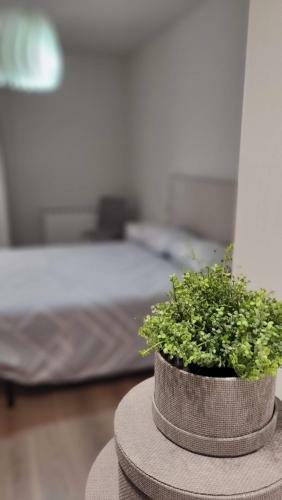 Apartamento Palacio De Los Toledo