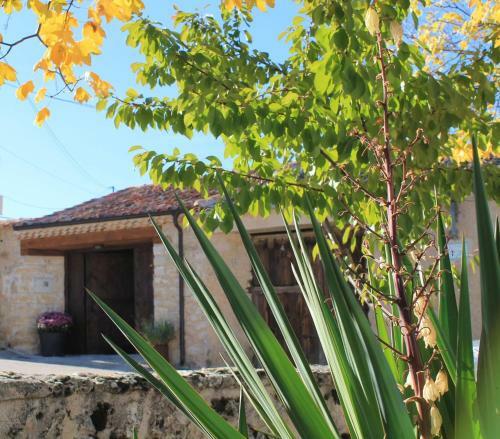 Agroturismo Cotanilla