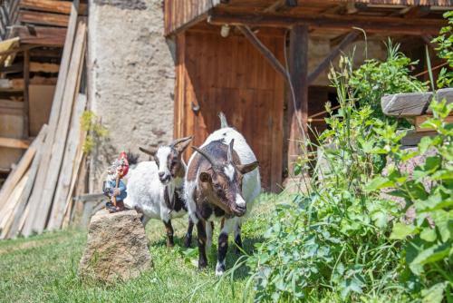 Agroturismo Wieserhof
