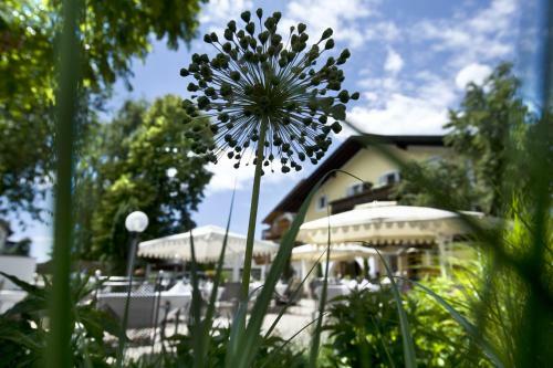 Gartenhotel V�lser Hof