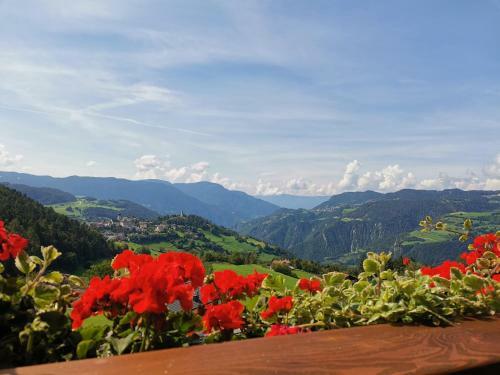 Agroturismo Gfliererhof