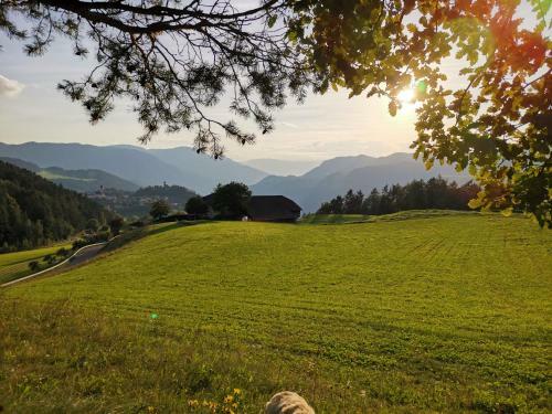 Agroturismo Gfliererhof