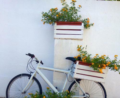 Bed & Breakfast Casa Dani