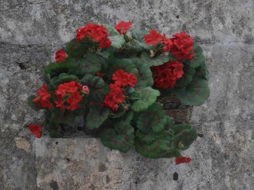 Bed & Breakfast Casa Dani