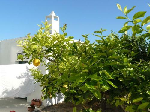 Bed & Breakfast Casa Dani