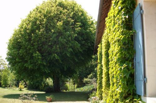 Bed & Breakfast La Cocheti�re