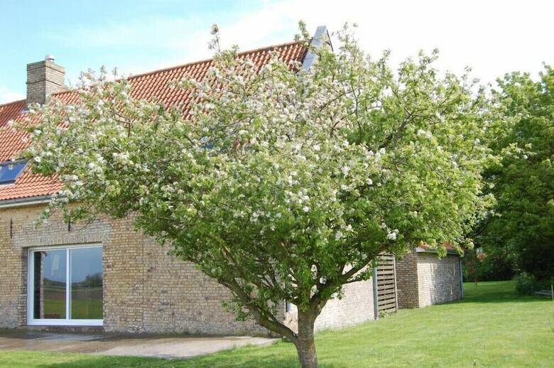 Bed & Breakfast La Haute Muraille