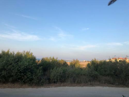 Apartamento En D�nia A Pie De Playa