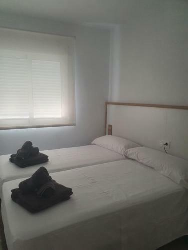Apartamento Piso Acuario