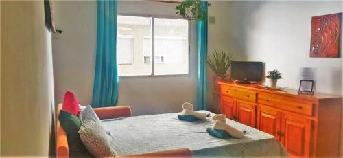 Apartamento Vacacional M�dano Barato