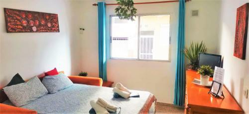 Apartamento Vacacional M�dano Barato