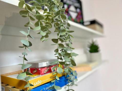 Apartamento Blue Waves