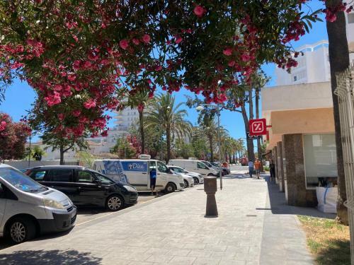 Apartamento G�minis Estrella