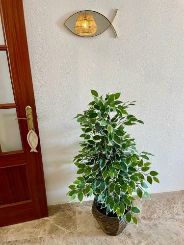 Apartamento Gatu Villa La Bodega