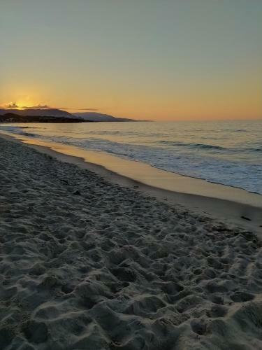 Apartamento Marzan Playa