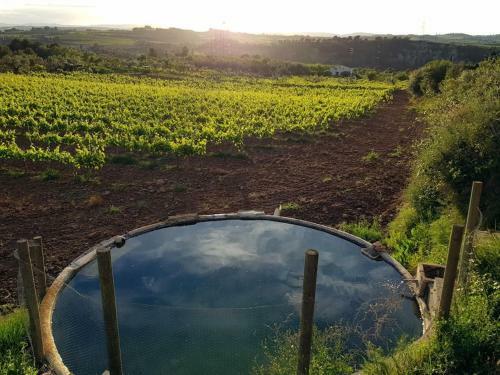 Apartamento La Gatera Casa Rural Entre Vi�as