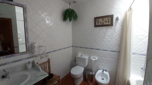 Apartamento Arco Del Tinte 10