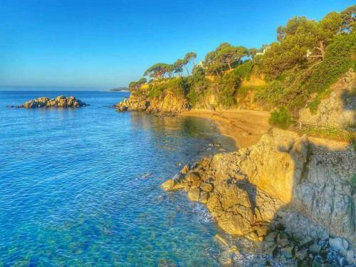Apartamento Joya Oculta Costa Brava Acceso Directo Playa Wifiterraza Petfriendly