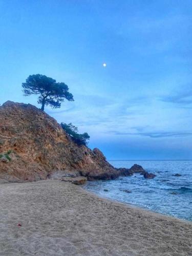 Apartamento Joya Oculta Costa Brava Acceso Directo Playa Wifiterraza Petfriendly