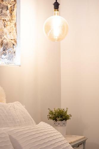 Apartamento Canela En Rama