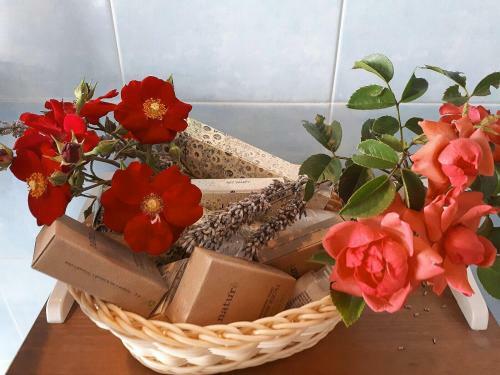 Bed & Breakfast Cascina Cologna
