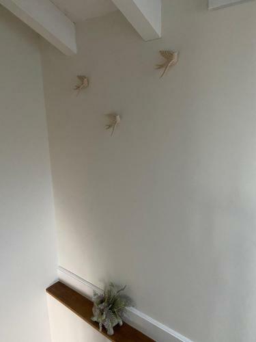 Apartamento La Socarre�a