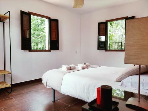 Villa El Jard�n Del Bot�nico