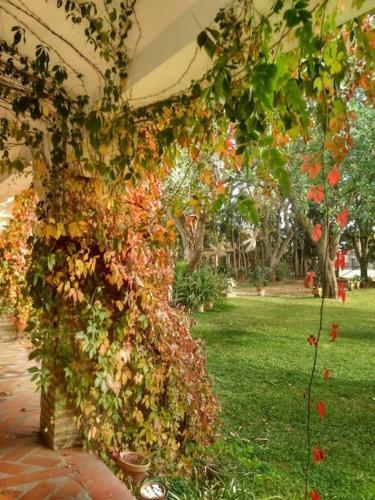 Villa El Jard�n Del Bot�nico
