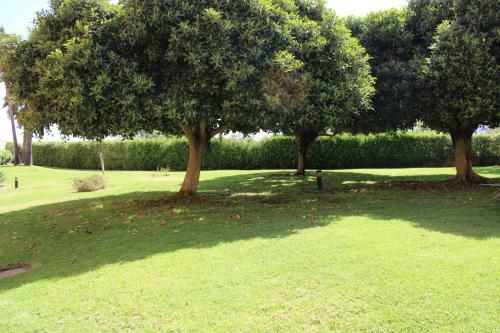 Apartamento Apto. De 1 Dormitorio En Primera Linea De Playa. Isla Canela
