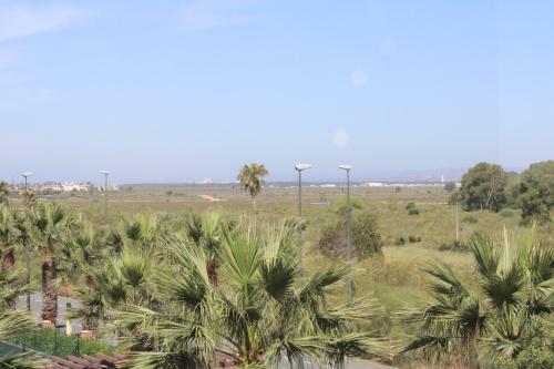 Apartamento Apto. De 1 Dormitorio En Primera Linea De Playa. Isla Canela