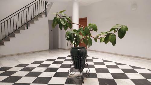 Apartamento Sherryflat Palmeras Plaza