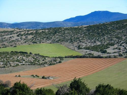 Bed & Breakfast Mas Des Clauzals