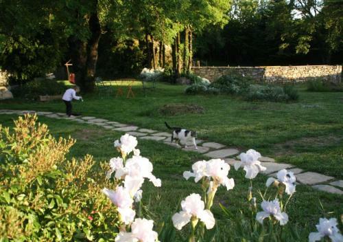 Bed & Breakfast Mas Des Clauzals