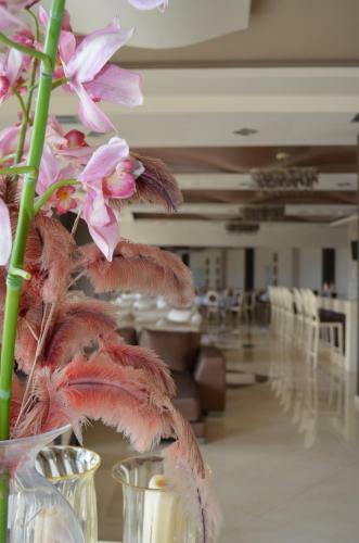 Evia Hotel & Suites