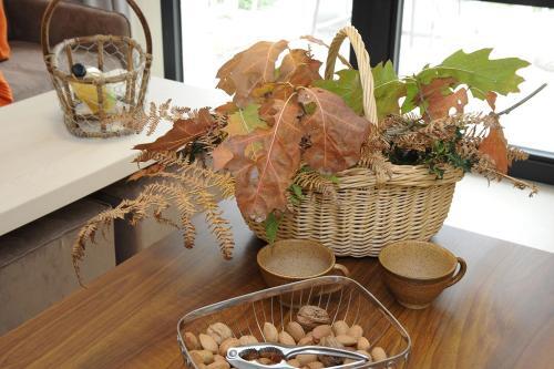 Hotel Logis Auberge De La Foret