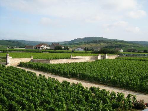 Bed & Breakfast Chateau De Chassagne-montrachet