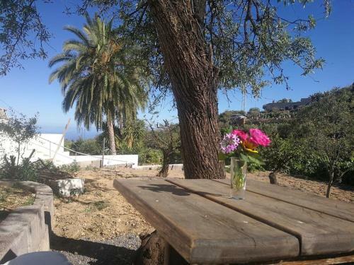 Apartamento Naturaleza , Tranquilidad, Barbacoa....que Mas!