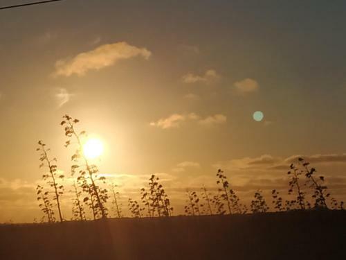 Villa Un Oasis De Bienestar