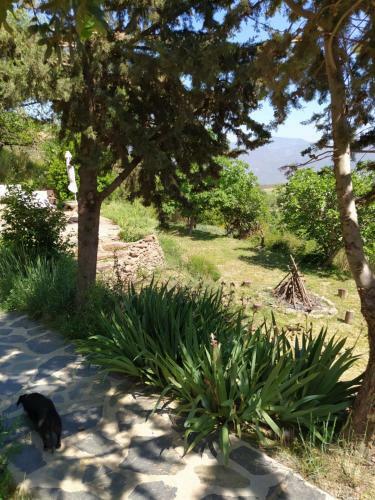 Bed & Breakfast Cortijo La Chaparra