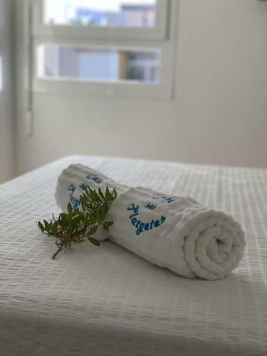 Apartamento La Savina Ses Platgetes