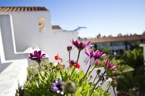 Apartamento Punta Prima Grana Planet Costa Dorada