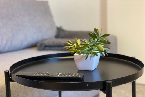 Apartamentos Mk77 Le�n - Lahoz