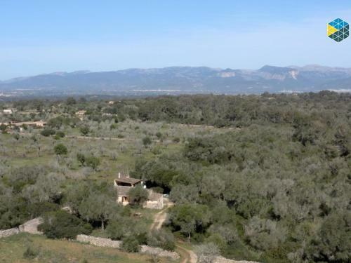 Finca Na Pruna Holiday Home
