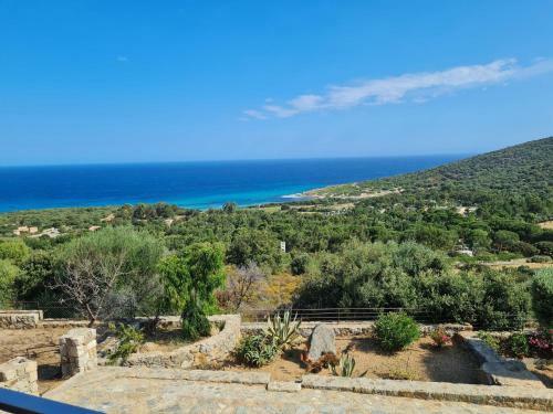 Attractive Holiday Home In Corbara With Private Pool